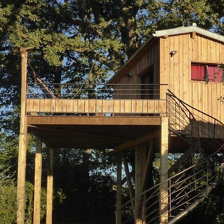 La cabane perchée du faucon Frechou-Frechet Exterior foto